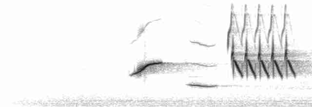 pipilo rudooký (ssp. erythrophthalmus/canaster) - ML618442383