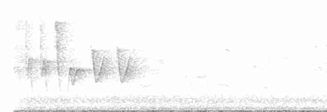 Широкохвістка середземноморська - ML618442826