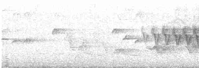 Cerulean Warbler - ML618442902