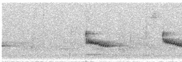 Поплітник каролінський - ML618443608