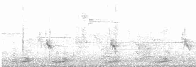 Black-crowned Night Heron - ML618443869