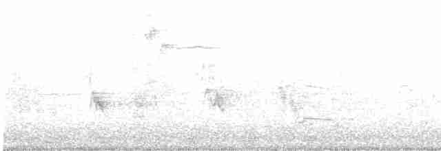 Black-crowned Night Heron - ML618443870