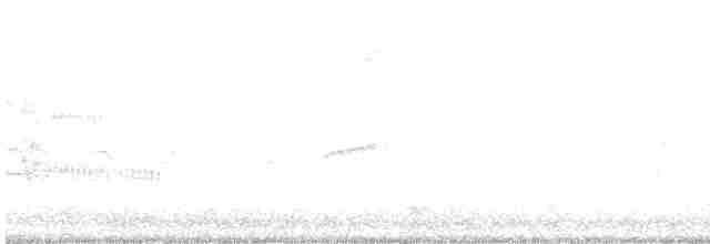 Голубокрылая червеедка - ML618444032