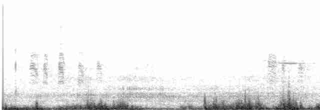 Antillennachtschwalbe - ML618444926
