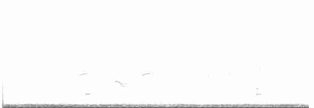 אנפית ירוקה - ML618445231