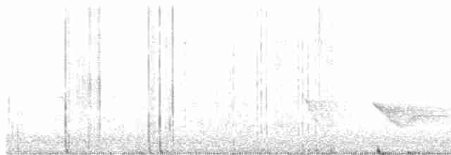 Чернокрылая пиранга - ML618449527