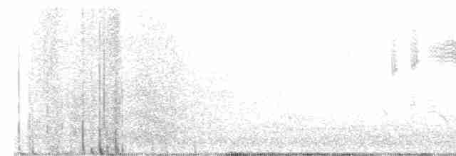 lesňáček modrokřídlý - ML618452835