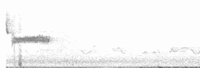 lesňáček modrokřídlý - ML618452836