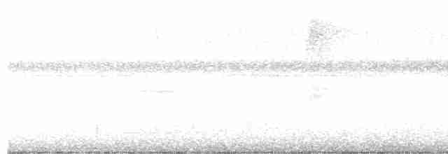 Atlantik Kara Gerdanlı Trogonu - ML618452898