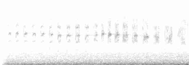 rorýs bělohrdlý - ML618452964