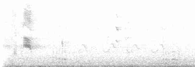 Common Gallinule (American) - ML618453027