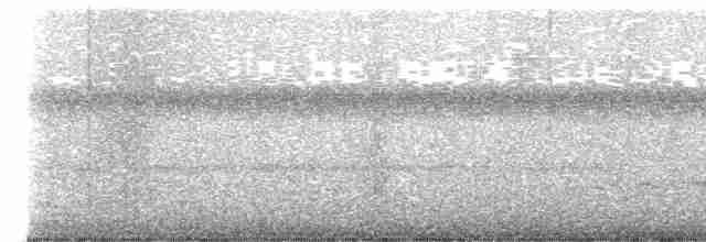 Atlantik Kara Gerdanlı Trogonu - ML618454043