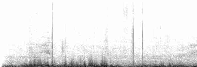 Sterne caspienne - ML618455501