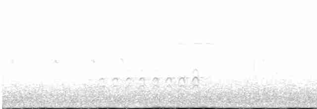 Weißbrustkleiber - ML618455516