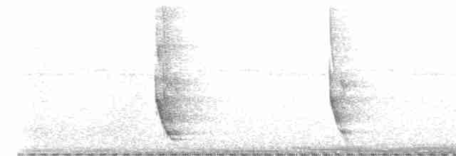 Plush-crested Jay - ML618455643
