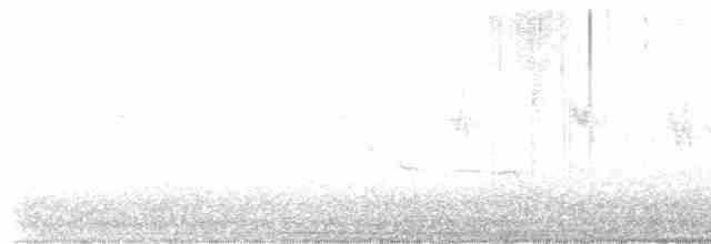Gray Catbird - ML618455808