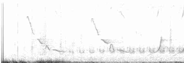 Кактусовый крапивник - ML618456997