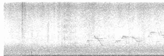 Дрізд-короткодзьоб Cвенсона - ML618457722