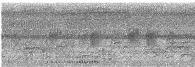 svartkronebrednebb - ML618459250