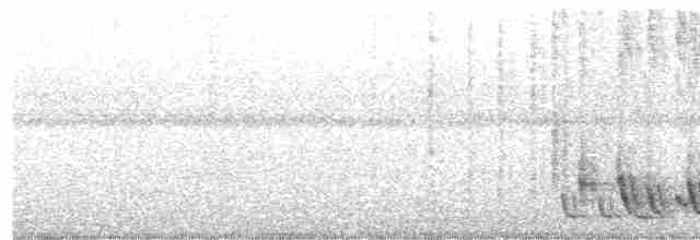 Дроздовый крапивник - ML618459969