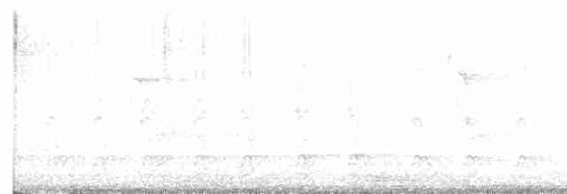 hvitbrynsvartspett - ML618460275