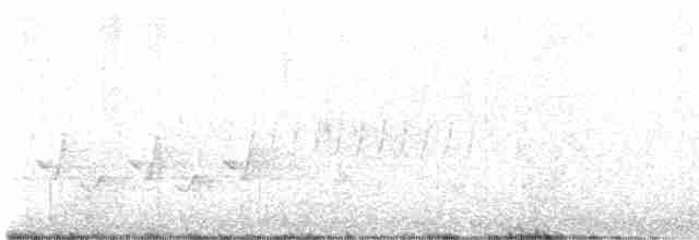 Каролинский крапивник - ML618460358