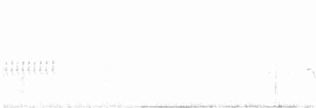 Чернозобая овсянка - ML618460524