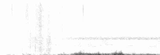 Schwarzkehl-Nachtschwalbe - ML618460589
