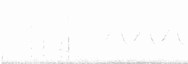 Common Yellowthroat - ML618461128