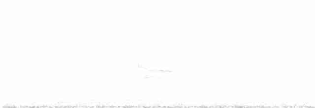 Sinsonte Norteño - ML618461916