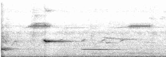 Tinamou cannelle (groupe cinnamomeus) - ML618462773