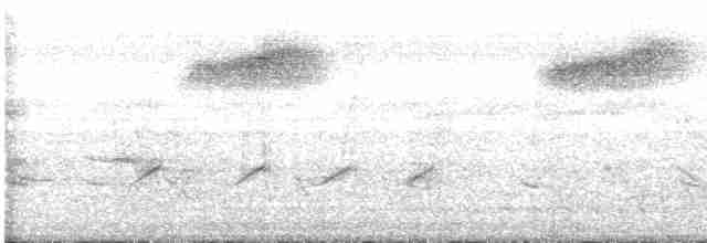 ヒラハシハエトリ（cinereiceps） - ML618463672