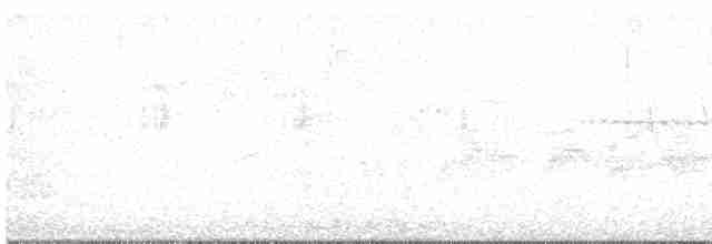 Синьохвіст білобровий - ML618464856
