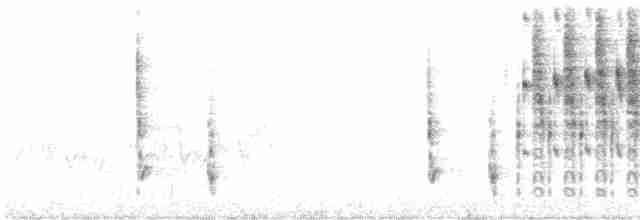 Troglodyte des marais - ML618467344