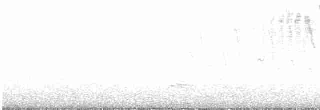 Голубокрылая червеедка - ML618469308