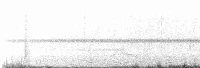 lelek šedočelý - ML618470281