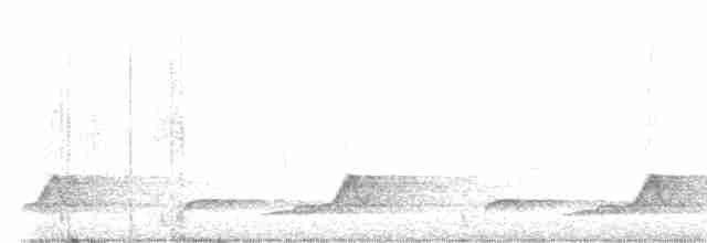 Schwarzkehl-Nachtschwalbe - ML618472488
