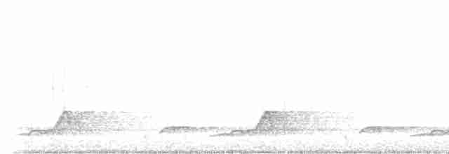 Schwarzkehl-Nachtschwalbe - ML618472489