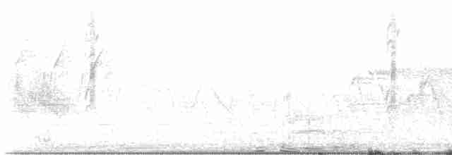 tyranovec vrbový - ML618472588