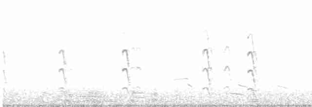 Common Tern - ML618473096