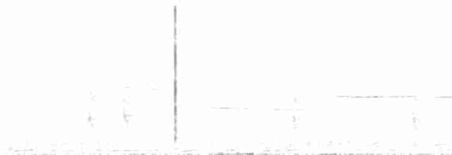 Дрізд-короткодзьоб плямистоволий - ML618473142