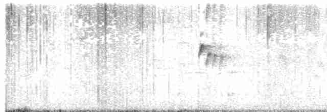 Мухолов-клинодзьоб сірий - ML618474064