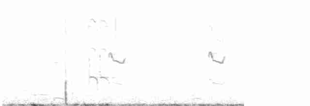 Короткоклювый бекасовидный веретенник (hendersoni) - ML618474523