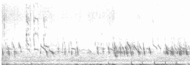 Короткоклювый бекасовидный веретенник (hendersoni) - ML618474525