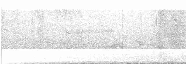 Дрізд-короткодзьоб Cвенсона - ML618474550