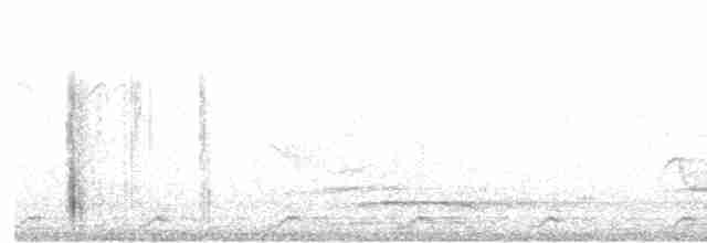 White-breasted Waterhen - ML618474602