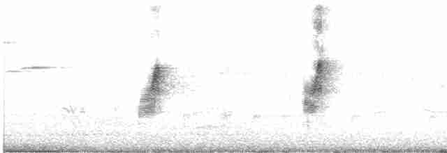 Міагра білогорла - ML618476013