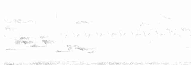 Mönchsgrasmücke - ML618477152