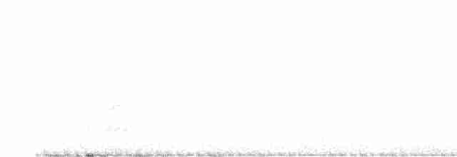 Трав’янка тиморська - ML618477155