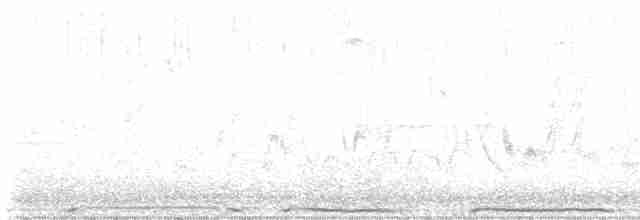 holub hřivnáč - ML618477357